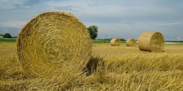 Lukashenko orders to develop Belarus-U.S. relations plan, draw red lines – BelTA – News