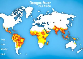 Samoa mobilizes dengue outbreak response with support from WHO and partners – World Health Organization (WHO)