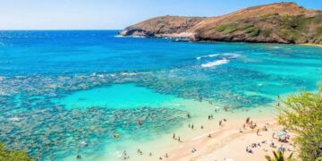 ‘Oahu Shores’ cast celebrates show’s premiere with red-carpet event – Hawaii News Now