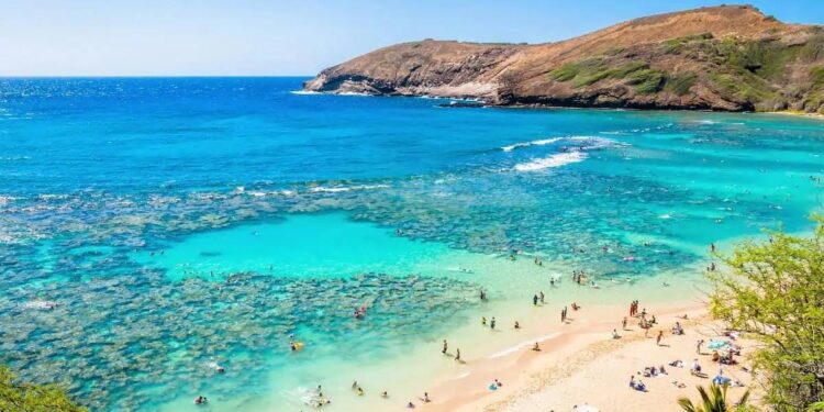 ‘Oahu Shores’ cast celebrates show’s premiere with red-carpet event – Hawaii News Now