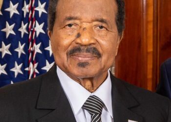 40 Years of Biya: What’s the Economic Reality in Cameroon? [Business Africa] – africanews.com