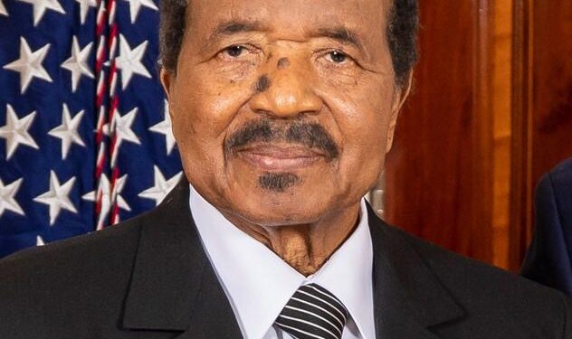 40 Years of Biya: What’s the Economic Reality in Cameroon? [Business Africa] – africanews.com