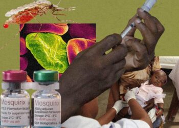 Burundi introduces malaria vaccine into routine immunization – Gavi, the Vaccine Alliance