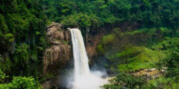 Cameroon vs Angola: The Indomitable Lions’ starting eleven as they chase World Cup qualification – Foot Africa