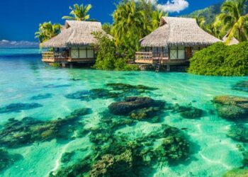 I asked ChatGPT and Claude 4 to plan my vacation to Tahiti. Here’s how they compared. – businessinsider.com
