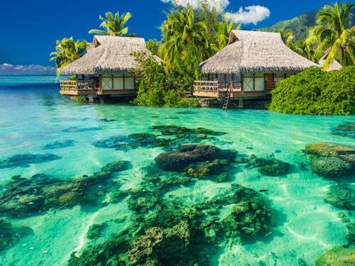 I asked ChatGPT and Claude 4 to plan my vacation to Tahiti. Here’s how they compared. – businessinsider.com