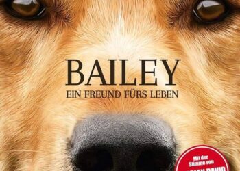 Bailey the support dog freed from Northern Irish prison after public outcry – The Guardian