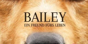 Bailey the support dog freed from Northern Irish prison after public outcry – The Guardian