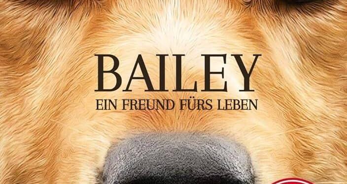 Bailey the support dog freed from Northern Irish prison after public outcry – The Guardian