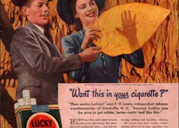 Algeria/Morocco • Western Sahara autonomy plan on the table at closed-door negotiations from Washington to Algiers – 21/08/2025 – Africa Intelligence