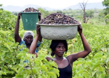 Clashes break out in Togo’s capital as protesters call for the president’s resignation – AP News