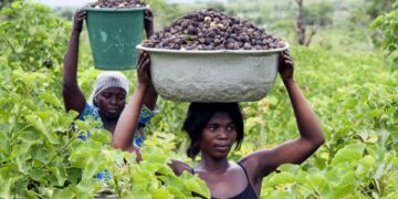 Clashes break out in Togo’s capital as protesters call for the president’s resignation – AP News