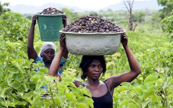 Clashes break out in Togo’s capital as protesters call for the president’s resignation – AP News