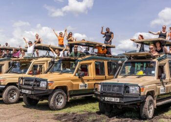 Tanzania launches digital horticulture platform – FreshPlaza