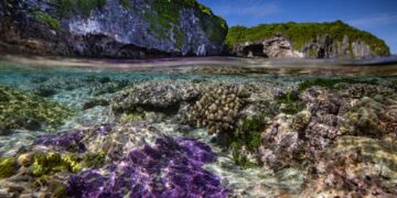 Island of Niue considers travelling forward in time to catch up with New Zealand – The Guardian