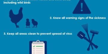 Bird flu prevention zone to be introduced in Northern Ireland – Yahoo News New Zealand