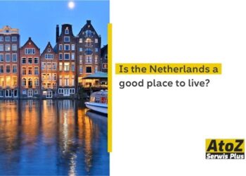 Netherlands must better recognise role of gender in domestic violence, expert body says – Reuters