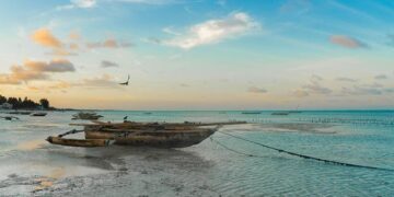 Tanzania Employment Law Resources – SHRM