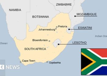 South Africa’s shamans: The unregulated use of psychedelics in mental health treatment – BBC