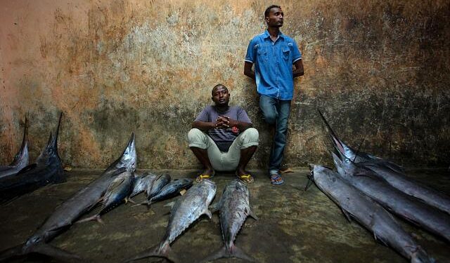 Mauritania’s Fisheries: From Ocean Wealth to Food Security – The Borgen Project