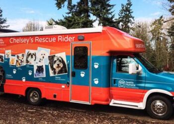 Europe lost its drive for humane animal transport. Denmark hasn’t. – politico.eu