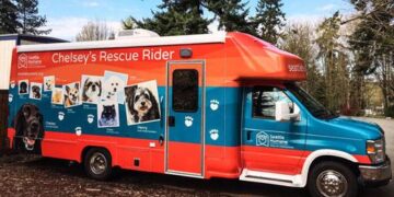 Europe lost its drive for humane animal transport. Denmark hasn’t. – politico.eu