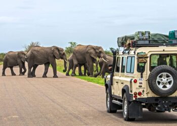 10 must-see sights in South Africa—beyond Kruger National Park and Cape Town – National Geographic