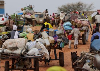 Sudan conflict: Men shot by the hundreds, disappeared after city falls to paramilitaries, witnesses say – The Hindu