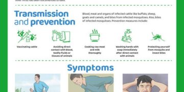 Rift Valley fever outbreak kills 33 in Senegal and Mauritania – Anadolu Ajansı