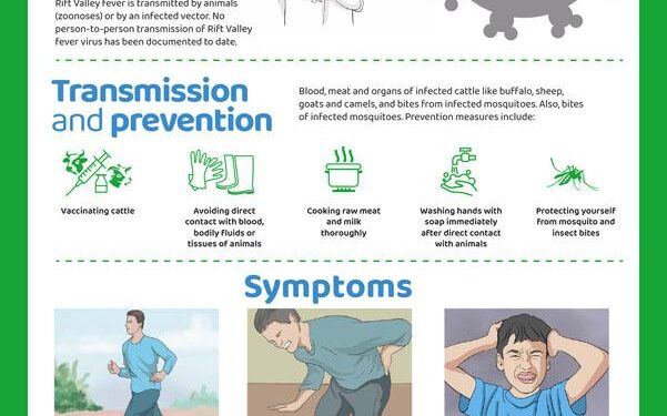 Rift Valley fever outbreak kills 33 in Senegal and Mauritania – Anadolu Ajansı