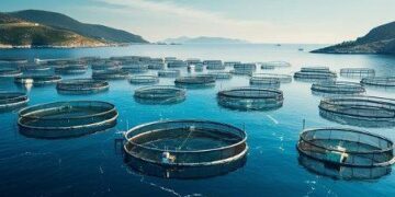 Can cage aquaculture save Malawi’s fisheries? – FairPlanet