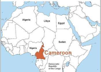 Cameroon’s Biya re-elected despite deadly protests and claims of fraud – RFI