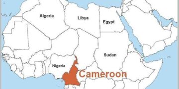 Cameroon’s Biya re-elected despite deadly protests and claims of fraud – RFI