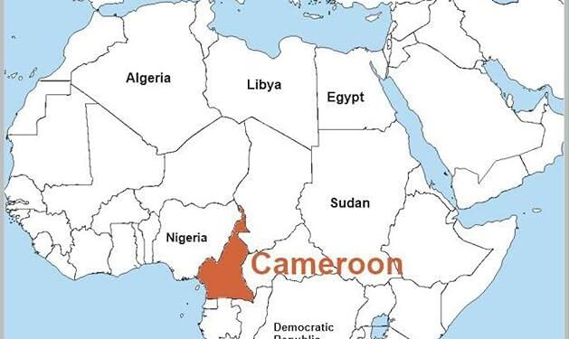 Cameroon’s Biya re-elected despite deadly protests and claims of fraud – RFI