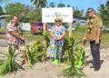 $2m to complete Fale Niue two-storey multi-purpose building – Cook Islands News