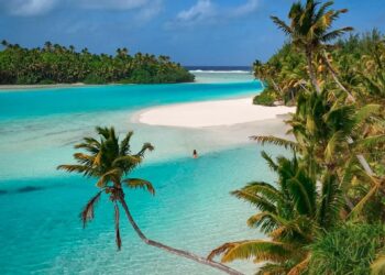 Cook Islands Also Declares Dengue Outbreak in the Pacific Ocean – Vax-Before-Travel