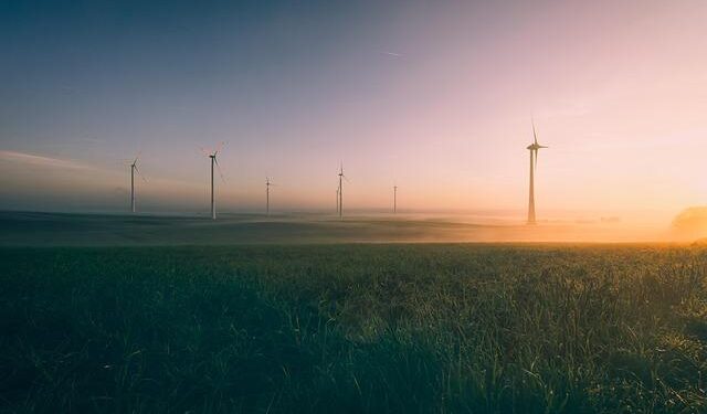 US calls on Hungary and Slovakia to ‘wean off’ Russian energy – TVP World