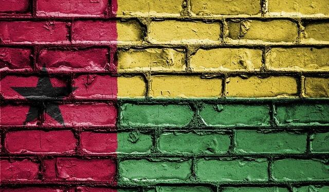 Guinea-Bissau army says it thwarted coup attempt involving officers – Anadolu Ajansı