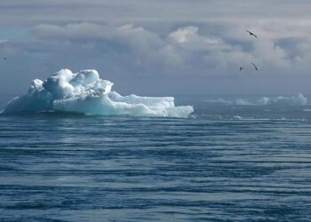 Taking the Pulse: Has Europe Given Up its Leadership on Climate Change? – Carnegie Endowment for International Peace