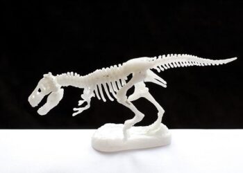 Prehistoric-looking creature seen at bottom of sunken crater in Pacific Ocean – BBC Wildlife Magazine