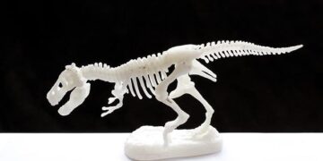 Prehistoric-looking creature seen at bottom of sunken crater in Pacific Ocean – BBC Wildlife Magazine