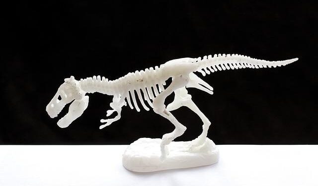 Prehistoric-looking creature seen at bottom of sunken crater in Pacific Ocean – BBC Wildlife Magazine