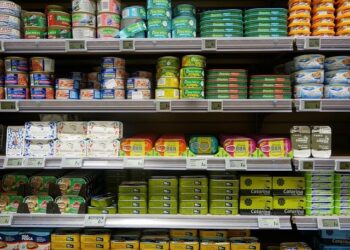 Runway to Resilience: How long-term commitment, local leadership, and engineering innovation kept Tuvalu connected to the world – World Bank Group