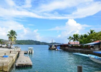 Cultivating health: Palau’s fields bring the Healthy Islands vision to life – World Health Organization (WHO)