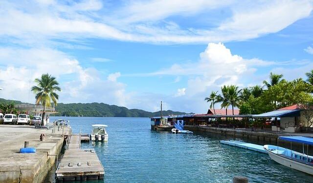 Cultivating health: Palau’s fields bring the Healthy Islands vision to life – World Health Organization (WHO)