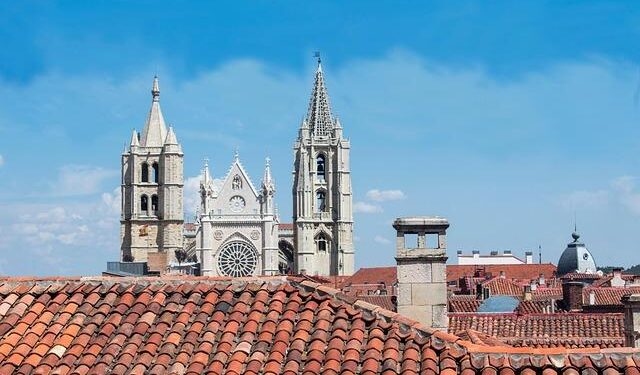 Two Elderly Lions Euthanized At New Zealand Zoo, Exposing The Cruel Reality Of Captivity – World Animal News