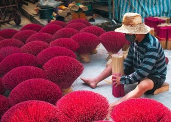 Top 10 Best Paid Tech Job in Micronesia in 2024 – nucamp.co