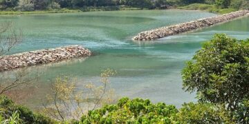 Producer Nah Yung-suk’s ‘Three Idiots in Kenya’ to debut on Netflix on Nov. 25 – Korea JoongAng Daily