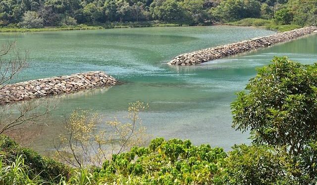 Producer Nah Yung-suk’s ‘Three Idiots in Kenya’ to debut on Netflix on Nov. 25 – Korea JoongAng Daily