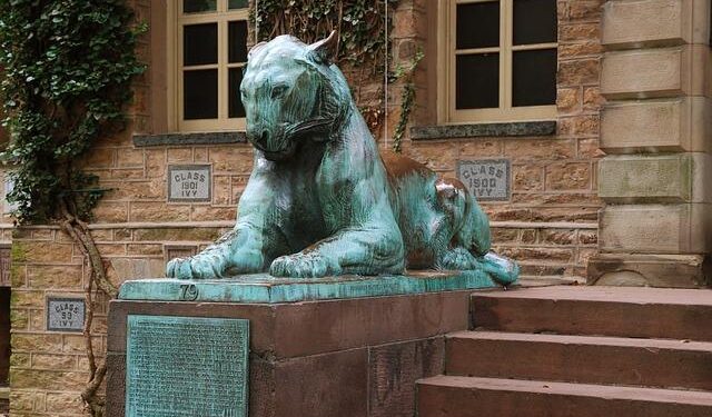 How higher education works in France – Campus France